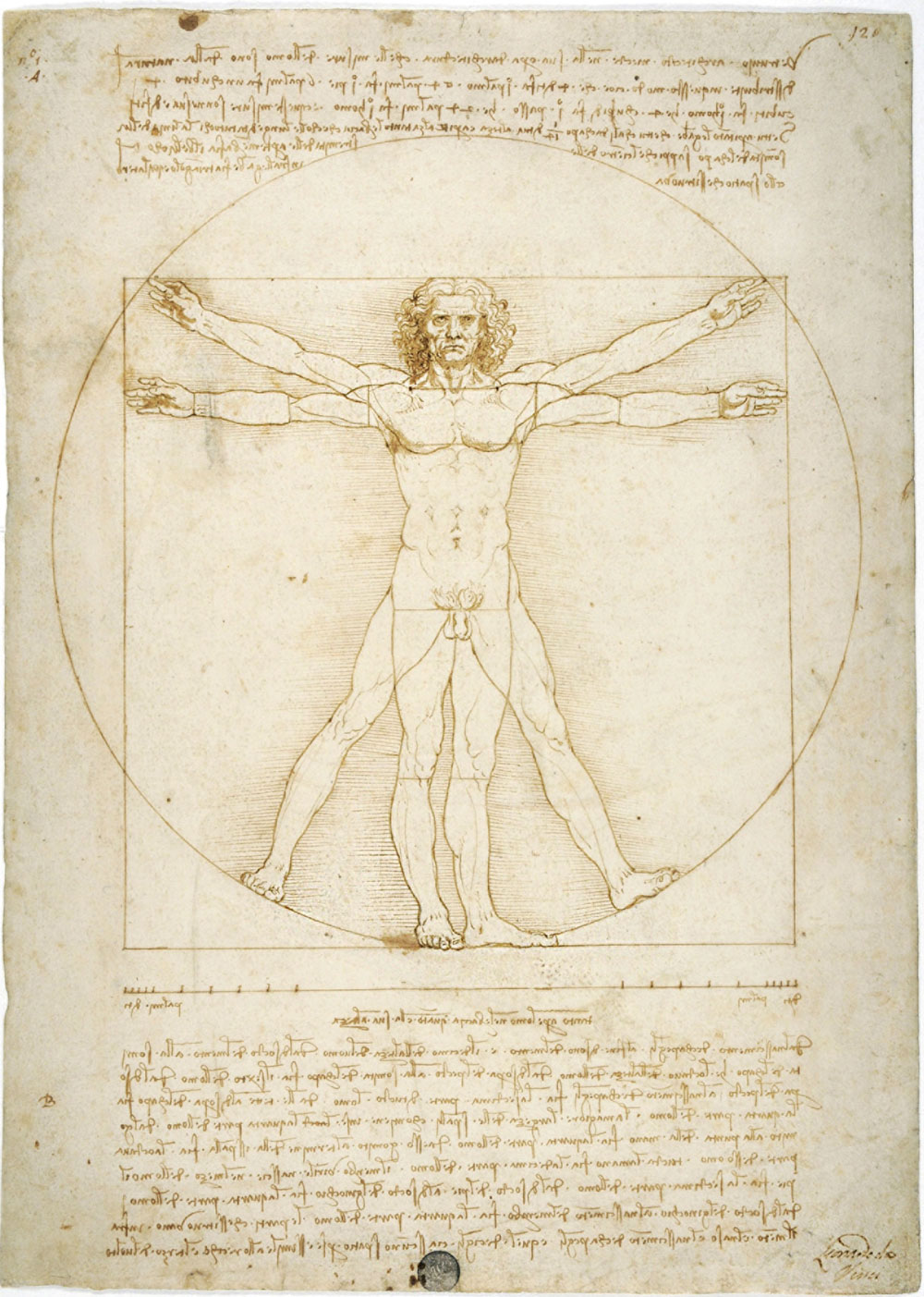 Le proporzioni del corpo umano secondo Vitruvio (Uomo vitruviano)  punta metallica, penna e inchiostro, tocchi di acquerello su carta bianca, anno 1490 circa, 344x245 mm. Venezia, Gallerie dell’Accademia, Gabinetto dei Disegni e Stampe